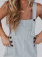 Blue Striped Twill Washed Overalls