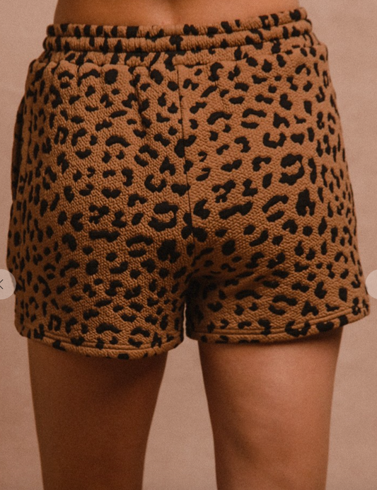Leopard Knit Shorts with Pockets