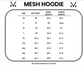 American Stars Mesh Hoodie