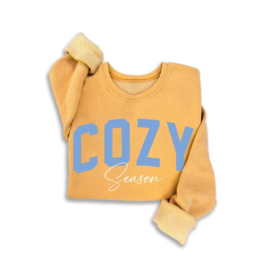Cozy Season Vintage Mineral Sweatshirt